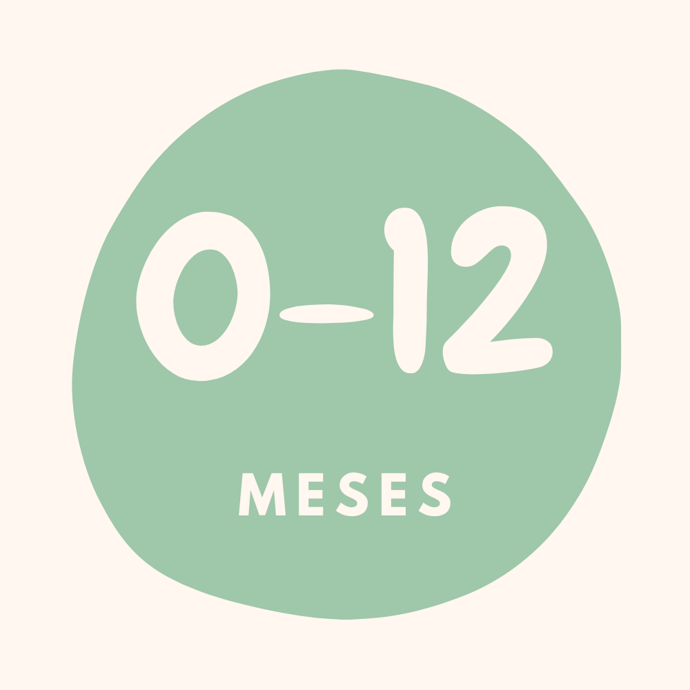 De 0 a 12 meses