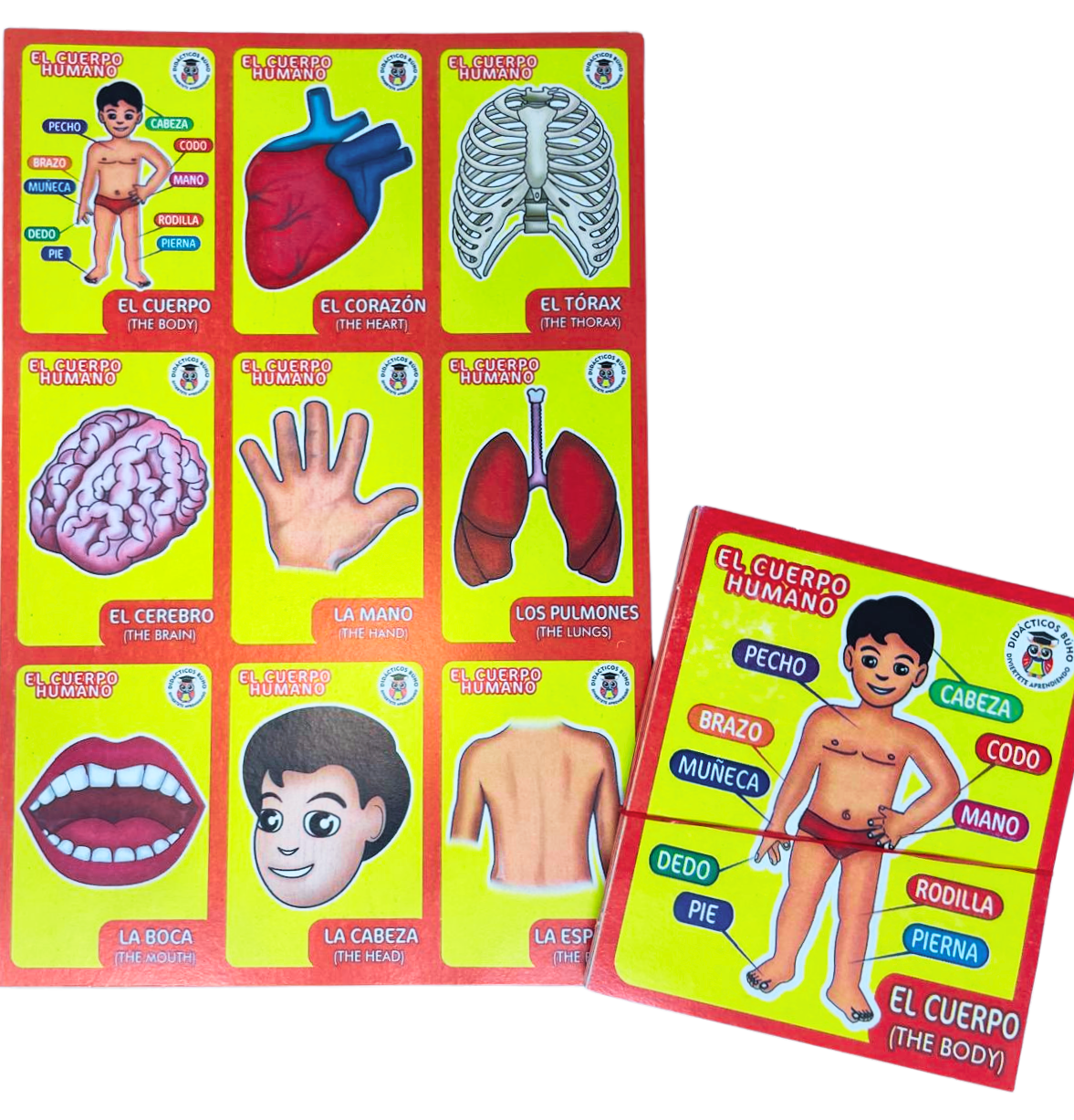 Loteria