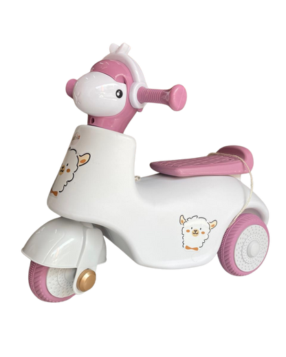 Triciclo Moto Borrego